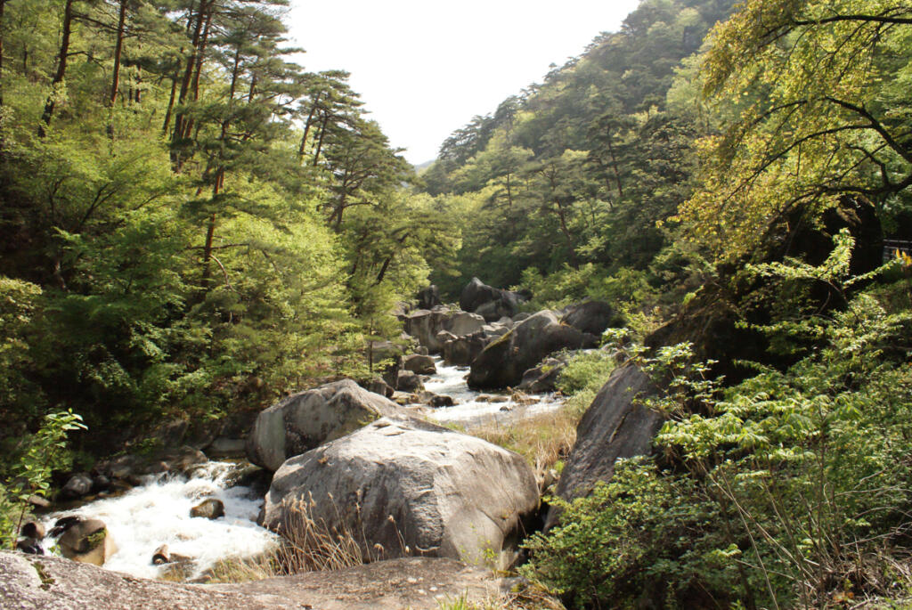 【昇仙峡】全国1位に選ばれた美しい渓谷