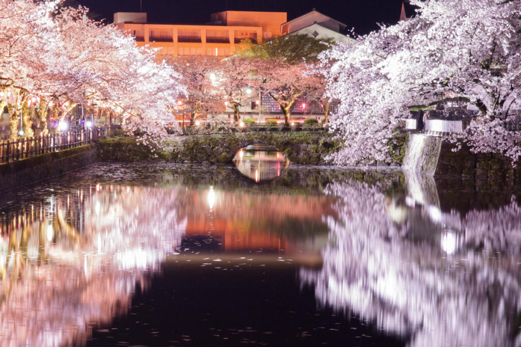 Cherry blossoms, wisteria, and azaleas in spring