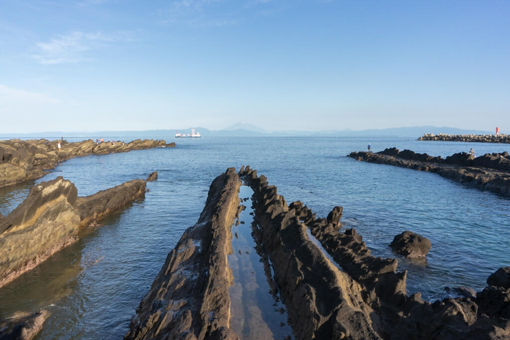 【Jogashima】 A spectacular island at the southernmost tip of the Miura Peninsula