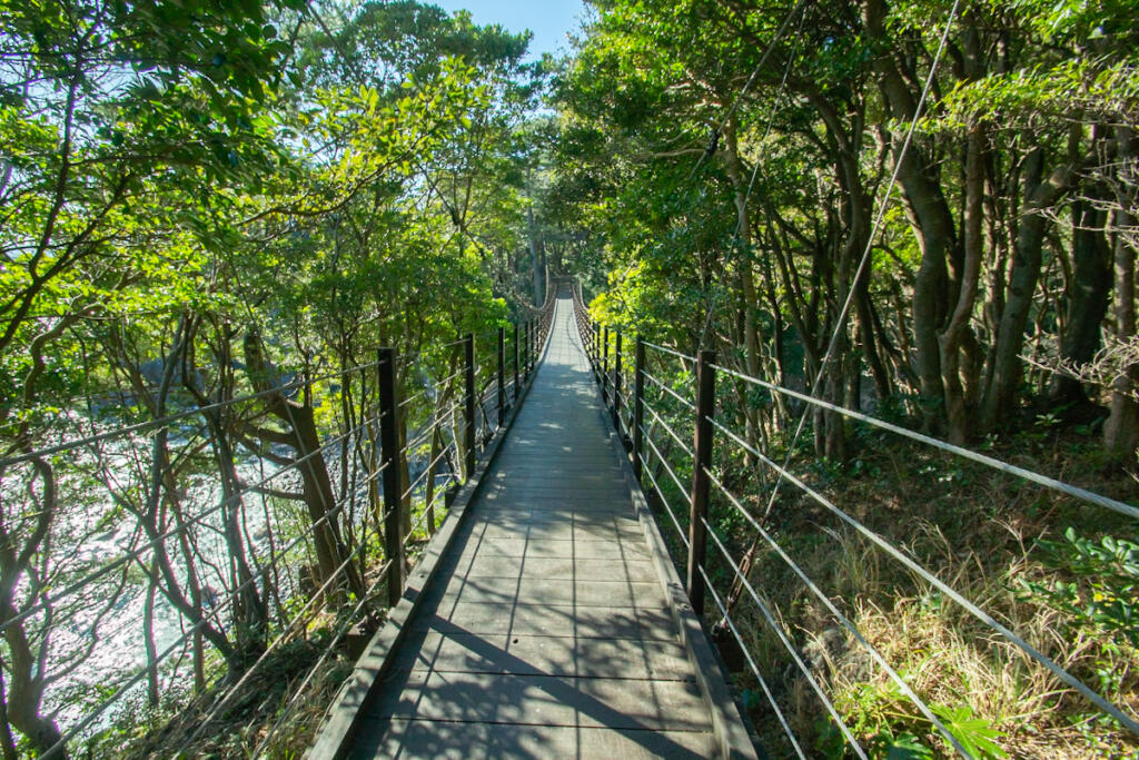 【橋立吊橋】長さ60m、高さ18m程よいスリルを味わえる絶景吊り橋