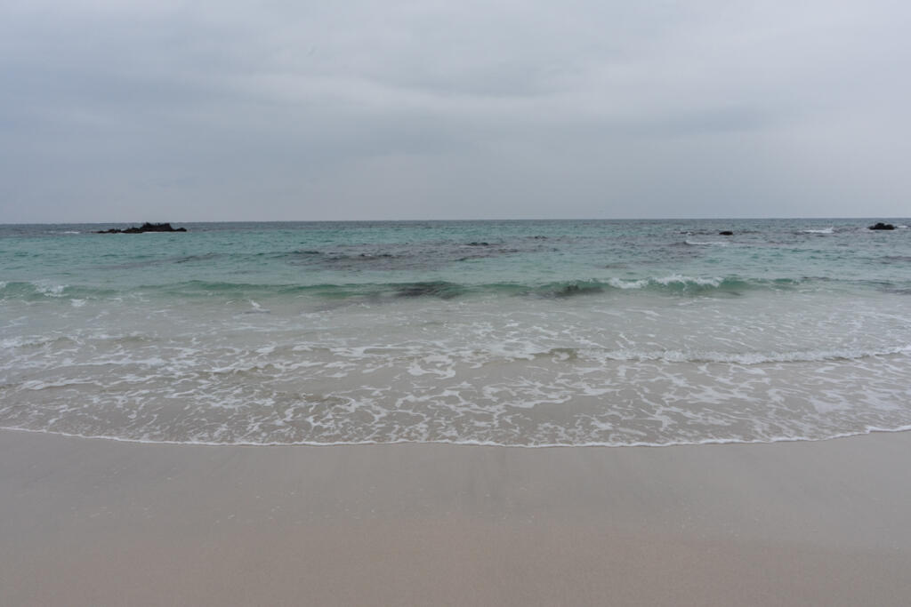 コバルトブルーの海に白い砂浜