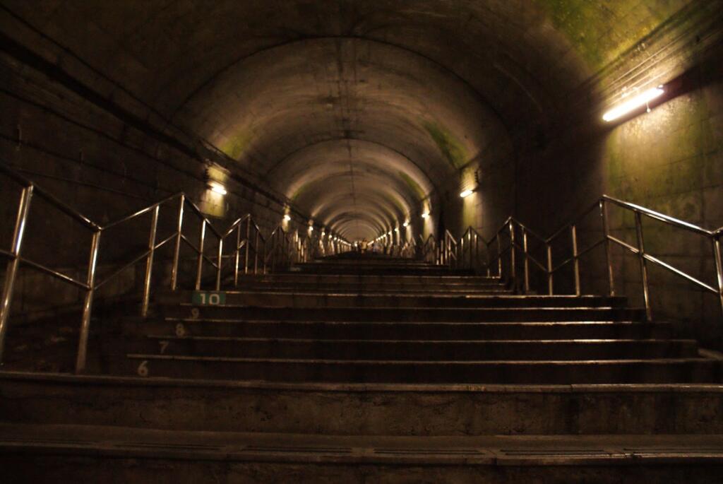 【Doai Station】462 steps!! ︎Japan's best mole station