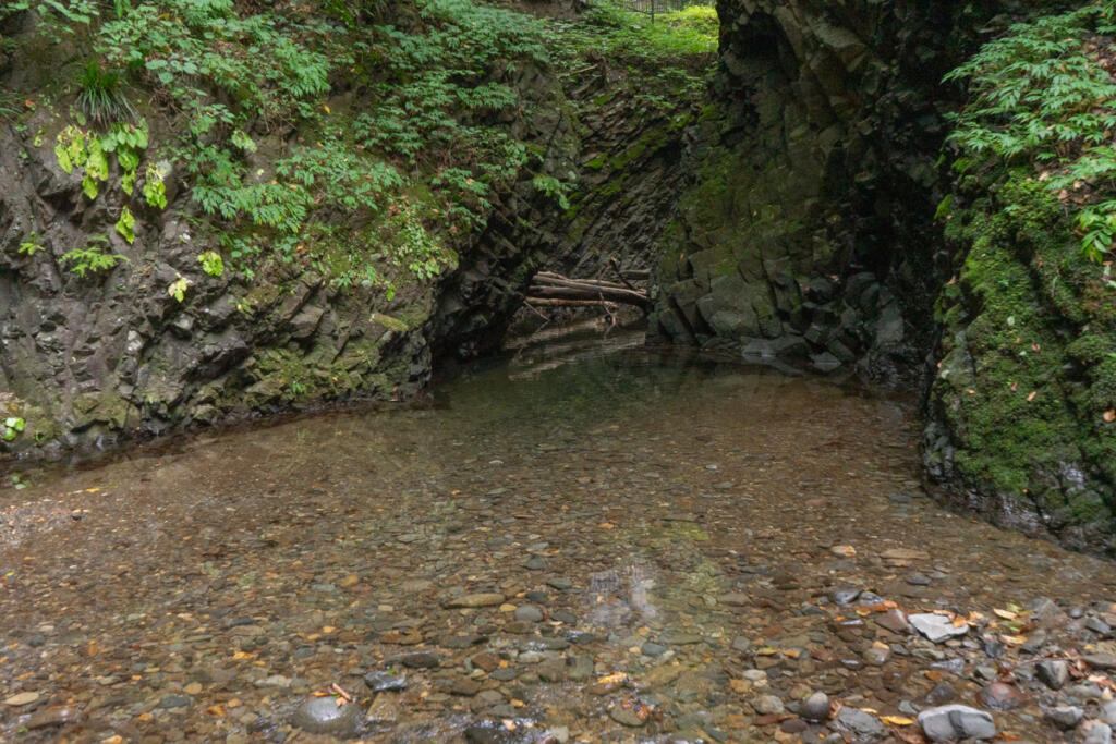 天狗の足跡とは？