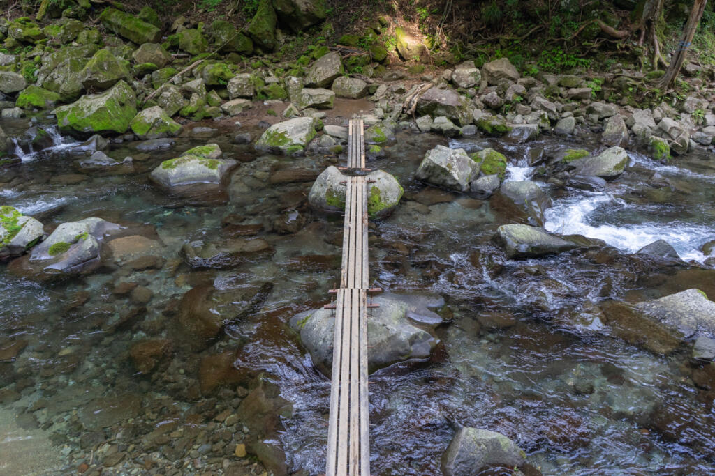 Enjoy mountain stream fishing