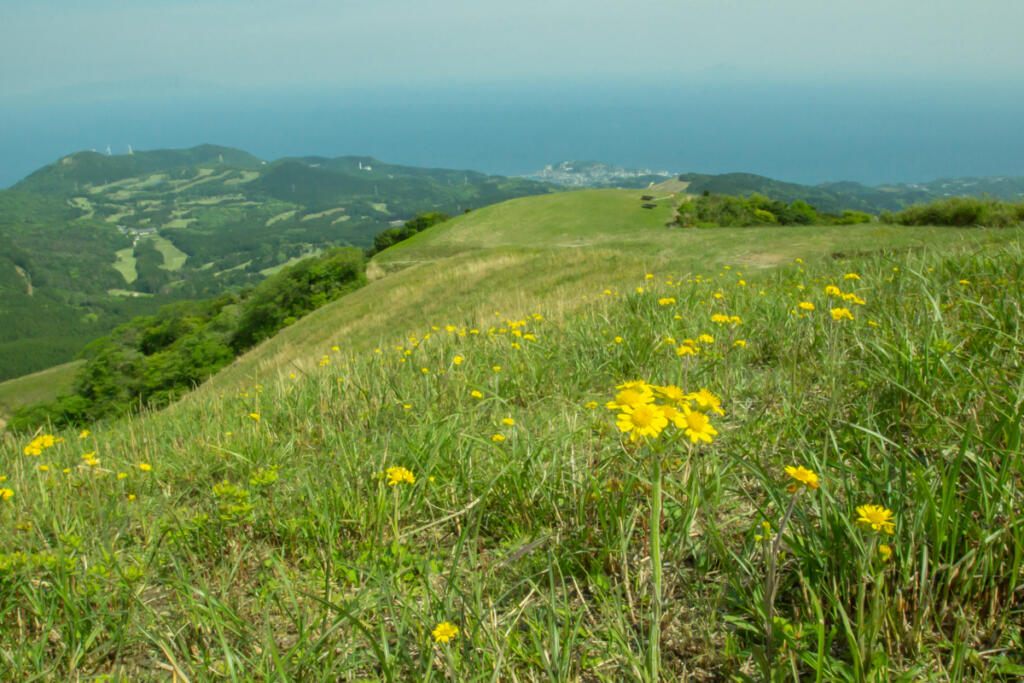 What is Inatori Hosono Highland?