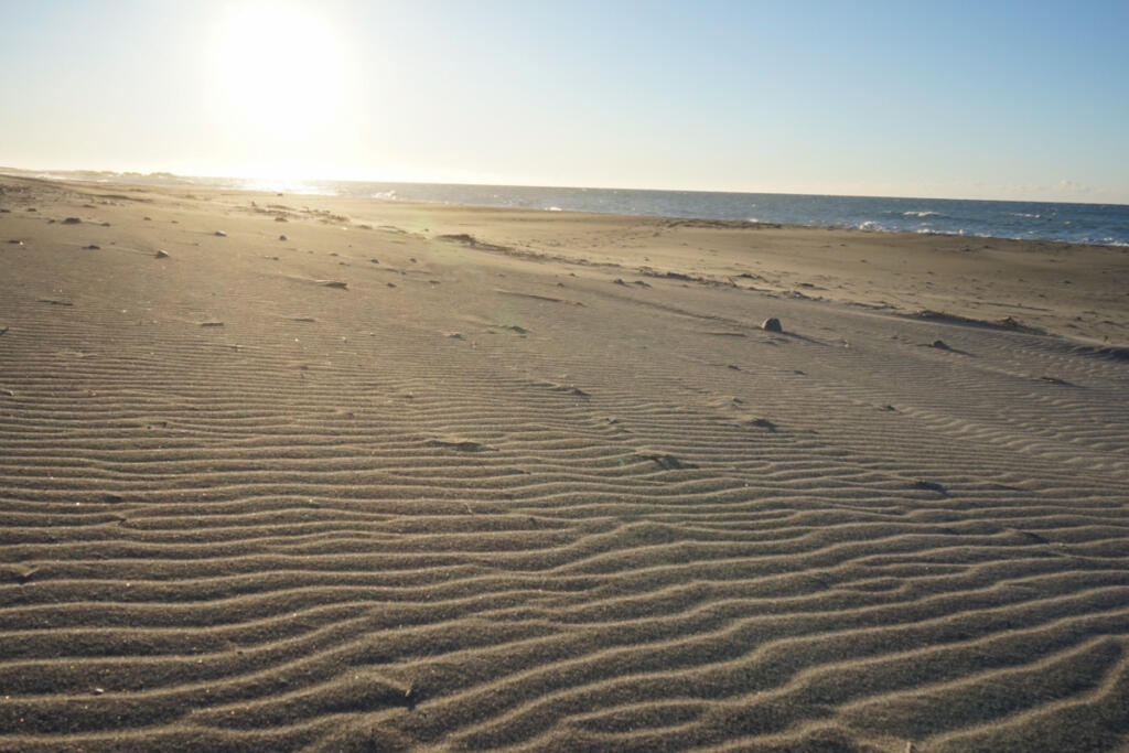 One of Japan's three largest sand dunes and a precious nesting ground for loggerhead sea turtles