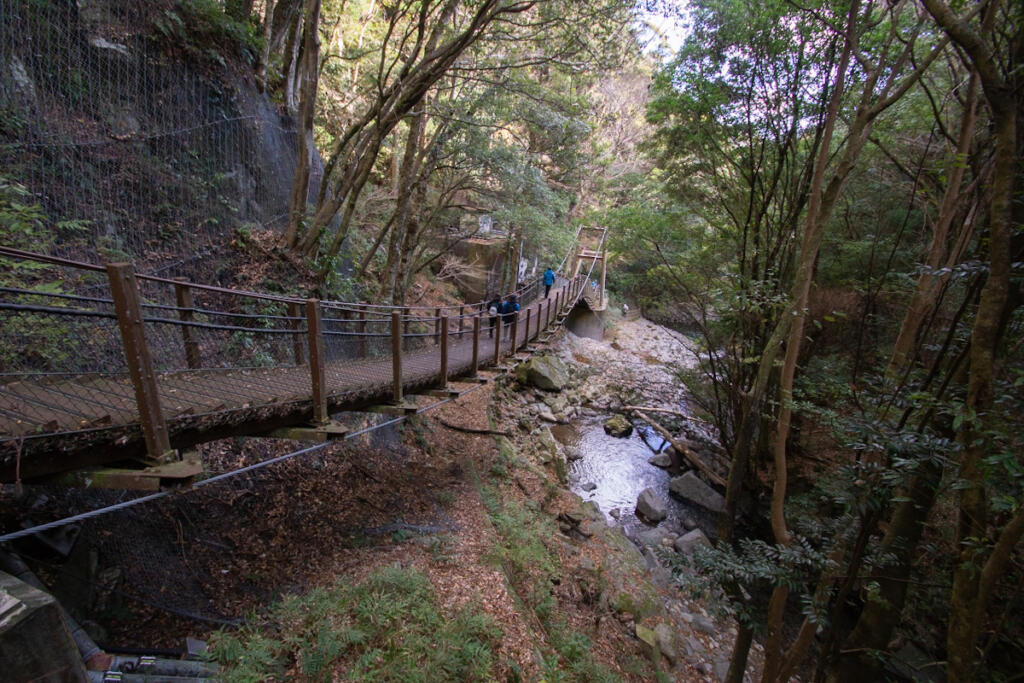 【河津七滝】片道1時間‼︎7つの滝を巡りながらショートトレッキング